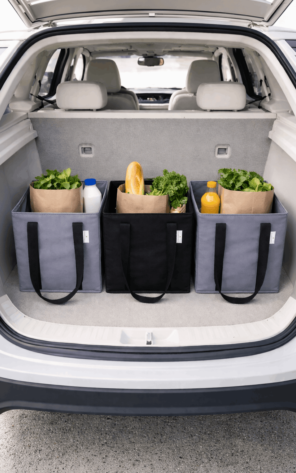 Reusable Structured Grocery Bag - 3 Pack